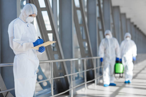 Best Comprehensive Air Testing for Mold Contaminants  in Sunny Isles Beach, FL