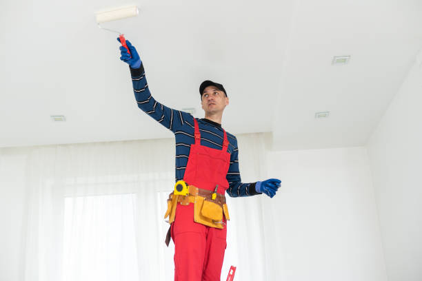 Best Basement Mold Removal  in Sunny Isles Beach, FL