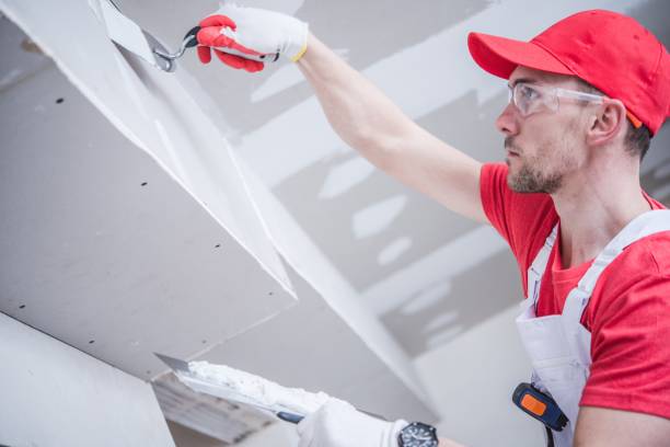 Best Real Estate Mold Inspection  in Sunny Isles Beach, FL